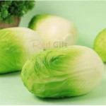 Simulated Vegetable Stress Relief Toy