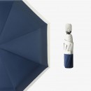 Folding Umbrella