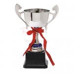 Trophy Cup