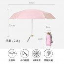 Umbrella And Fan Gift Set