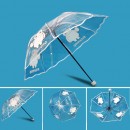 Transparent Folding Umbrella