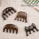 Massage Comb