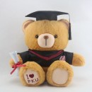 Graduation Bear