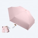 Pocket Umbrella