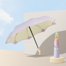 Foldable Umbrella