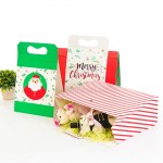 Christmas Gift Box