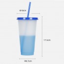 Temperature-sensitive color-changing sippy cup