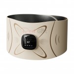 Waist Pulse Massager