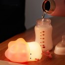 Multifunctional Night Light