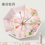 雙層自動折疊傘