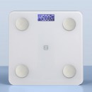 Electronic Health Scale