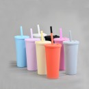 Double-layer Straw Cup