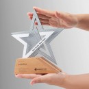 實木金屬獎座 實木金屬獎座