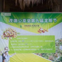 礼品红游茂德公草堂摘龙眼