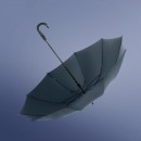 Straight Umbrella