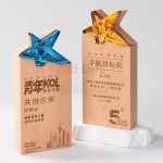 Crystal & Wooden Trophy