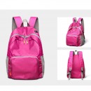 Foldable Backpack - 紀念品