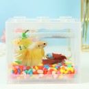 鬥魚積木魚缸