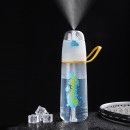 Spray Bottle