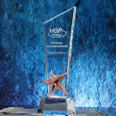 Star Crystal Trophy