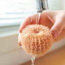 Eggshell Dishwashing Brush