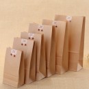 Kraft Paper Gift Bag