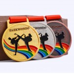 Colorful Taekwondo Medal