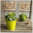 雙耳鐵藝桌面迷你鐵桶