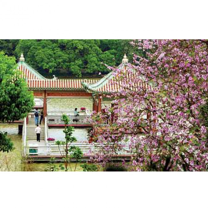 Red Gift Travel To HuiZhou XiHu