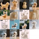 可愛小狗透明毛髮收納盒