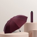 10Bone Promotional Umbrella
