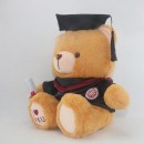 Graduation Bear