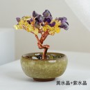 盆景水晶樹