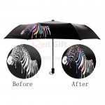 Color Changing Umbrella