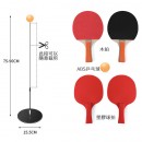 Table Tennis Self Training Device