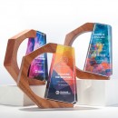 Solid Wood Crystal Trophy