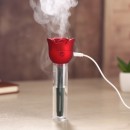 Rose USB air humidifier