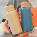 Frosted Portable Mini Tea Insulated Mug