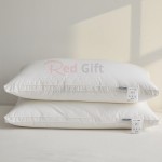 Compressed Pillow core (Pillow)