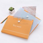 A4 Paper Expanding File Folder