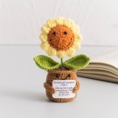 Knitted flower plant pot