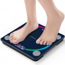Electronic Health Scale