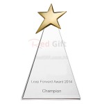 Metal Star Crystal Awards