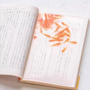 Goldfish Mark Bookmark