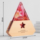 Colorful Crystal Trophy