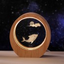 3D内雕小夜灯