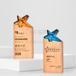 Crystal & Wooden Trophy