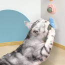 猫咪猫薄荷旋转球 猫咪猫薄荷旋转球