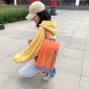 Folding Backpack