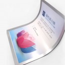 Magnetic Certificate Display Protector